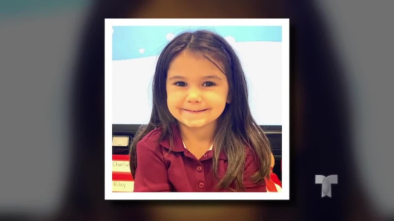 Niña de 7 años muere en ataque de pit bull