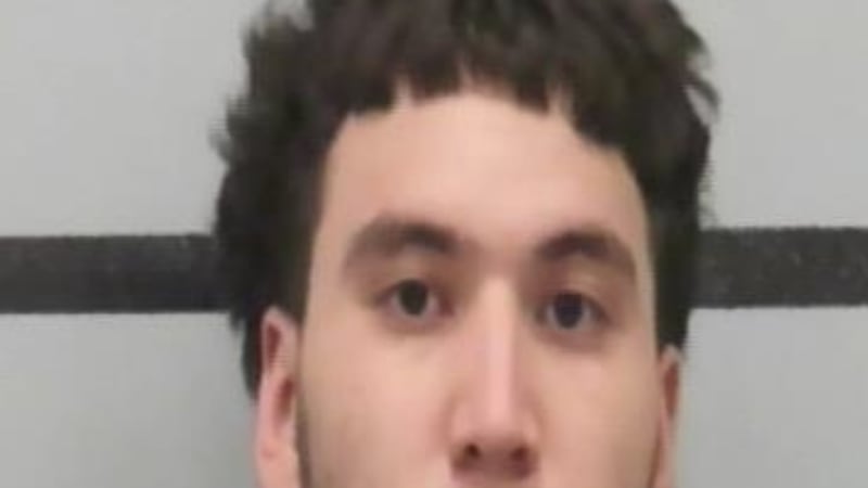 Devin Hernandez pleaded guilty to aggravated assault with a deadly weapon and was sentenced to...