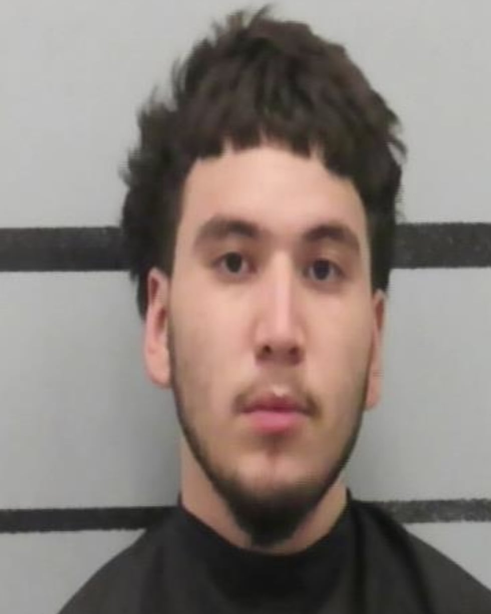 Devin Hernandez pleaded guilty to aggravated assault with a deadly weapon and was sentenced to...