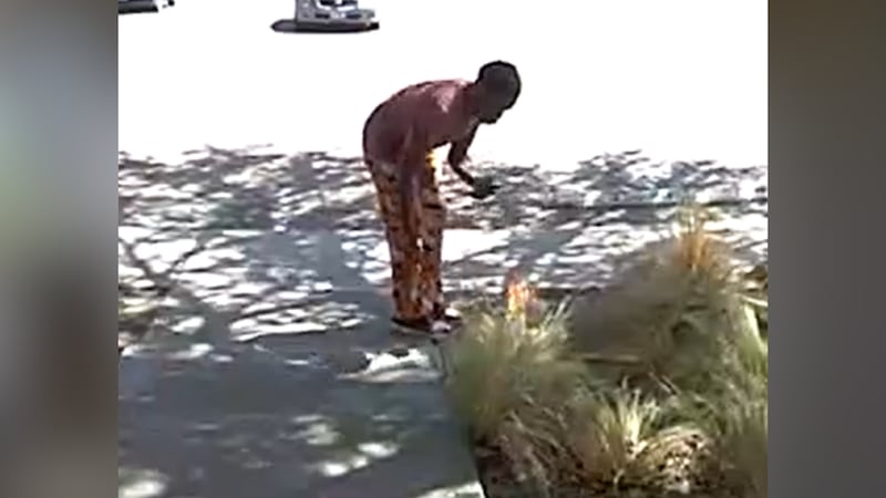 Video de vigilancia muestra a individuo prendiendo fuego a pasto cerca de West Loop 289