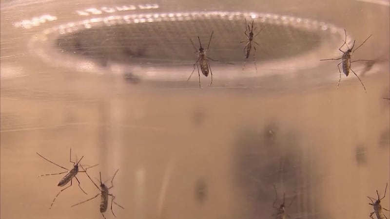 First probable West Nile virus case confirmed in Pima County