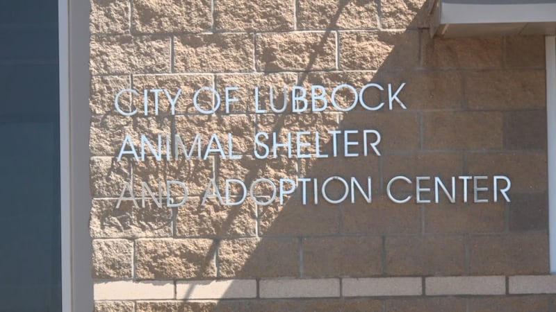 City of Lubbock Animal Shelter & Adoption Center (Lubbock Animal Services)