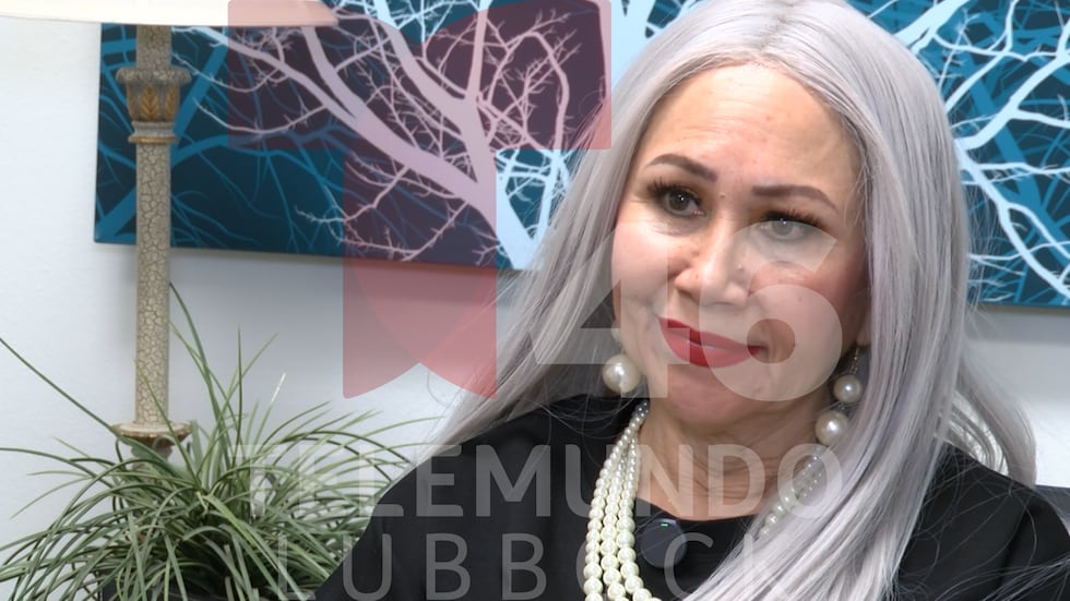 Anah Menjares busca ser Jueza de Paz del Precinto 2 y promete dignidad, orden y justicia en...