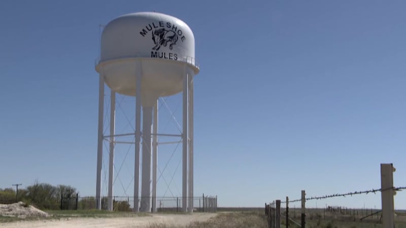 Muleshoe, Texas