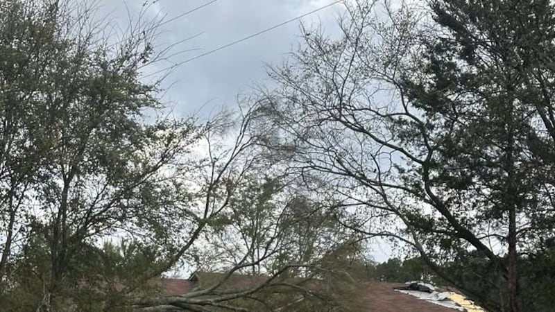 El Servicio Meteorológico Nacional confirma que un tornado causó daños al norte de Lindale