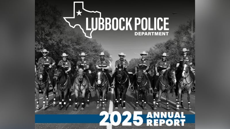 Autoridades atribuyen descenso del 12% en delitos graves al trabajo colaborativo y dedicación...