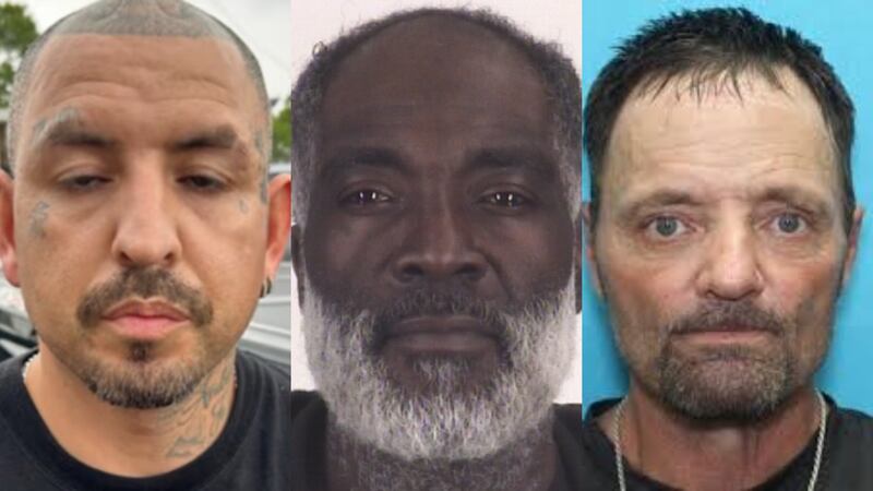 Three Sex Offenders Arrested in San Antonio, Corpus Christi and Erath County