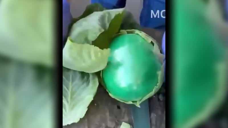 Se encontró más de una tonelada (2.000 libras) de metanfetamina oculta en un cargamento de coles.