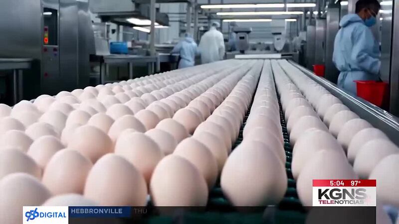 Aumentan Confiscaciones de Huevos en la Frontera