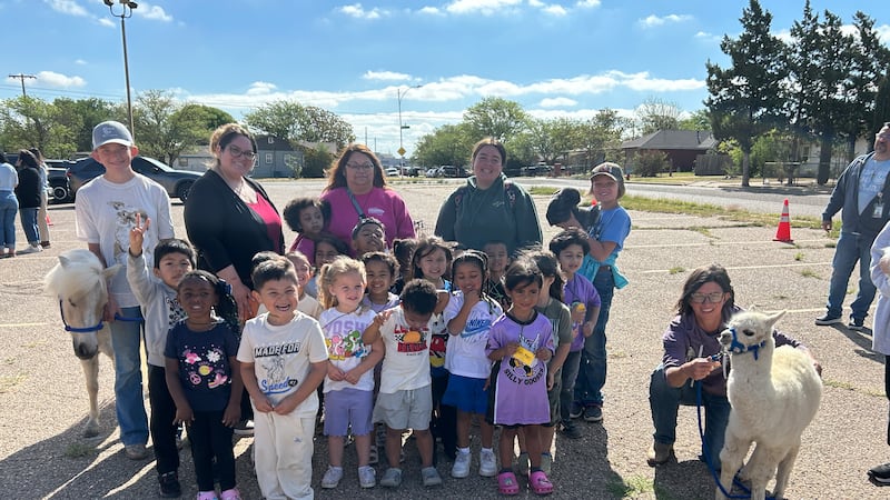 La organización ofreció actividades educativas y un zoológico de contacto para concientizar...