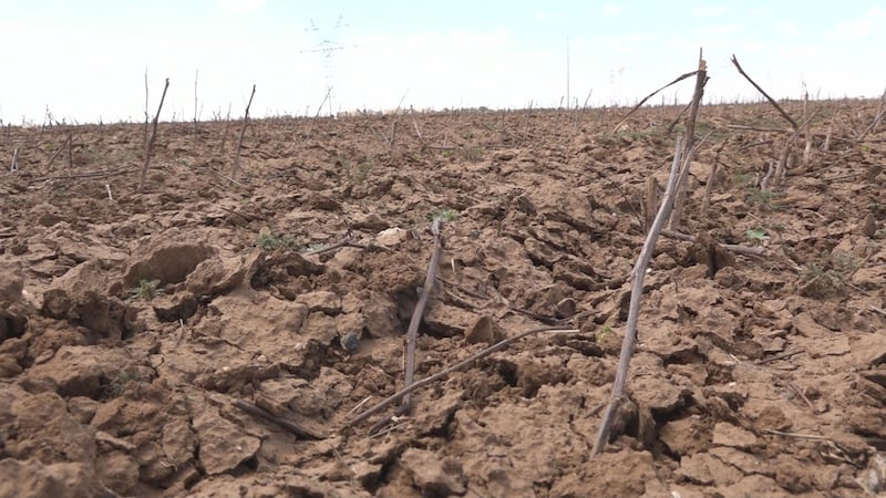 El gobierno federal está otorgando $6 mil millones a los productores que se están recuperando...