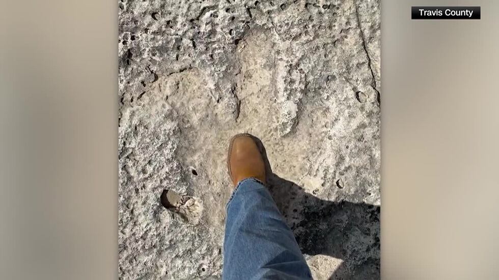 Floodwaters uncovered what experts say are ancient dinosaur tracks in Texas.