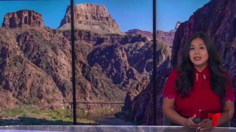 Una edición especial de su noticiero Telemundo local.