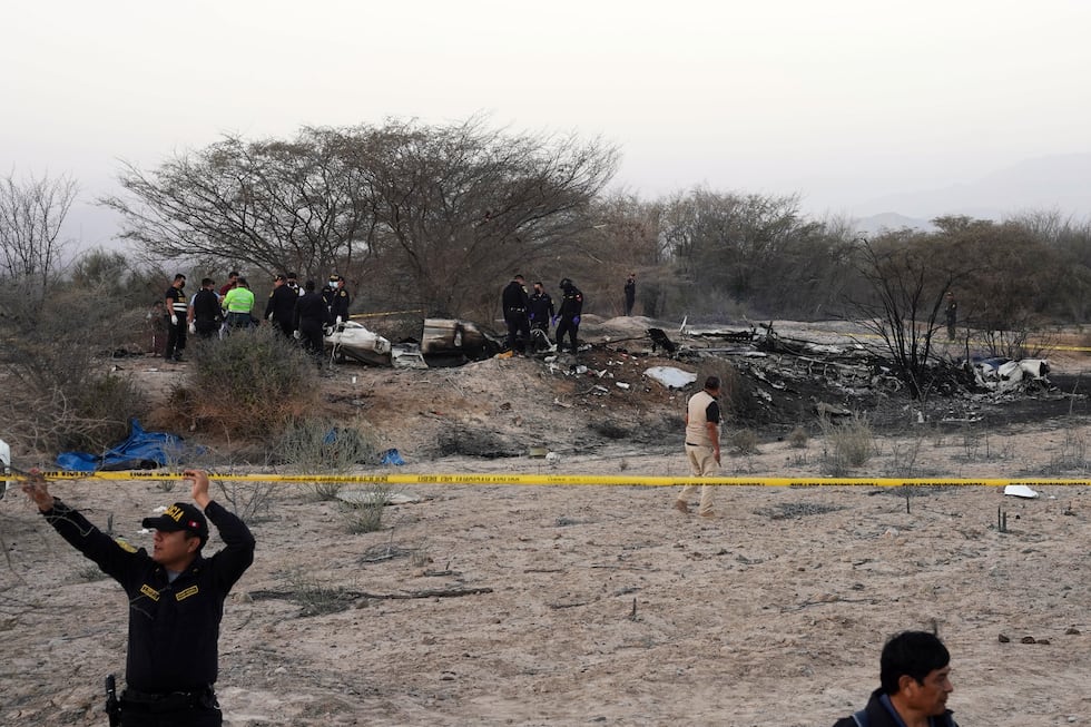 La policía inspecciona los restos de una avioneta que se estrelló durante un vuelo turístico...