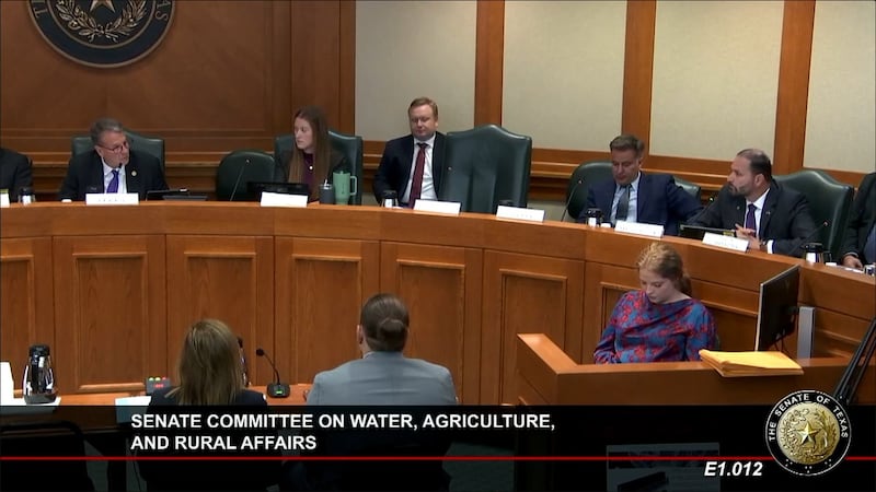Executives behind some of the largest data center operations in West Texas testified before a...