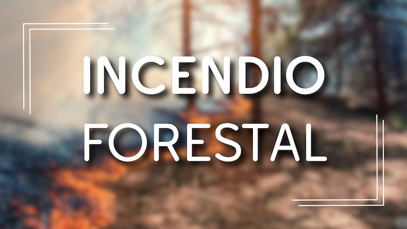 Incendio Forestal