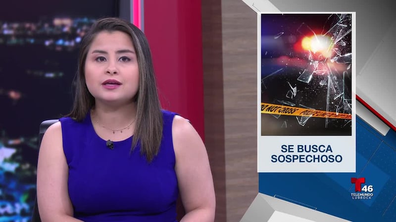 El vehículo chocó contra varios autos estacionados en un negocio; no se reportaron lesiones