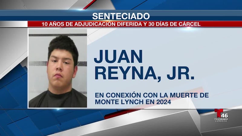Juan Reyna, de 21 años, recibió 10 años de adjudicación diferida y deberá cumplir 30 días en...
