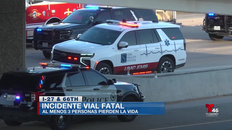 El conductor que viajaba en dirección equivocada también murió; cuatro personas resultaron...