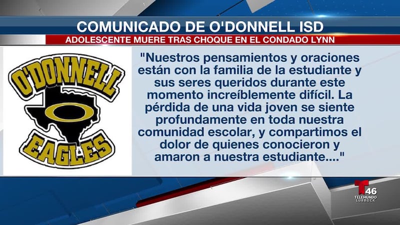 Tres jóvenes más resultaron heridos; el conductor que iba en sentido contrario también fue...
