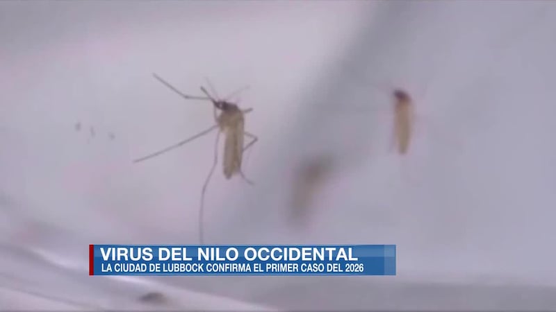Departamento de Salud Pública recomienda prevenir las picaduras de mosquitos