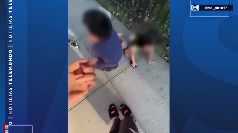 VIDEO: Niños lloran y gritan desesperados mientras ICE detiene a una persona y separa a la...